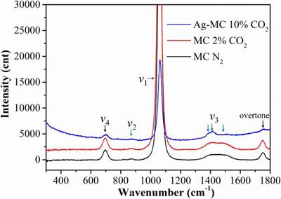 Identification of Active Surface Species in Molten Carbonates Using in situ Raman Spectroscopy